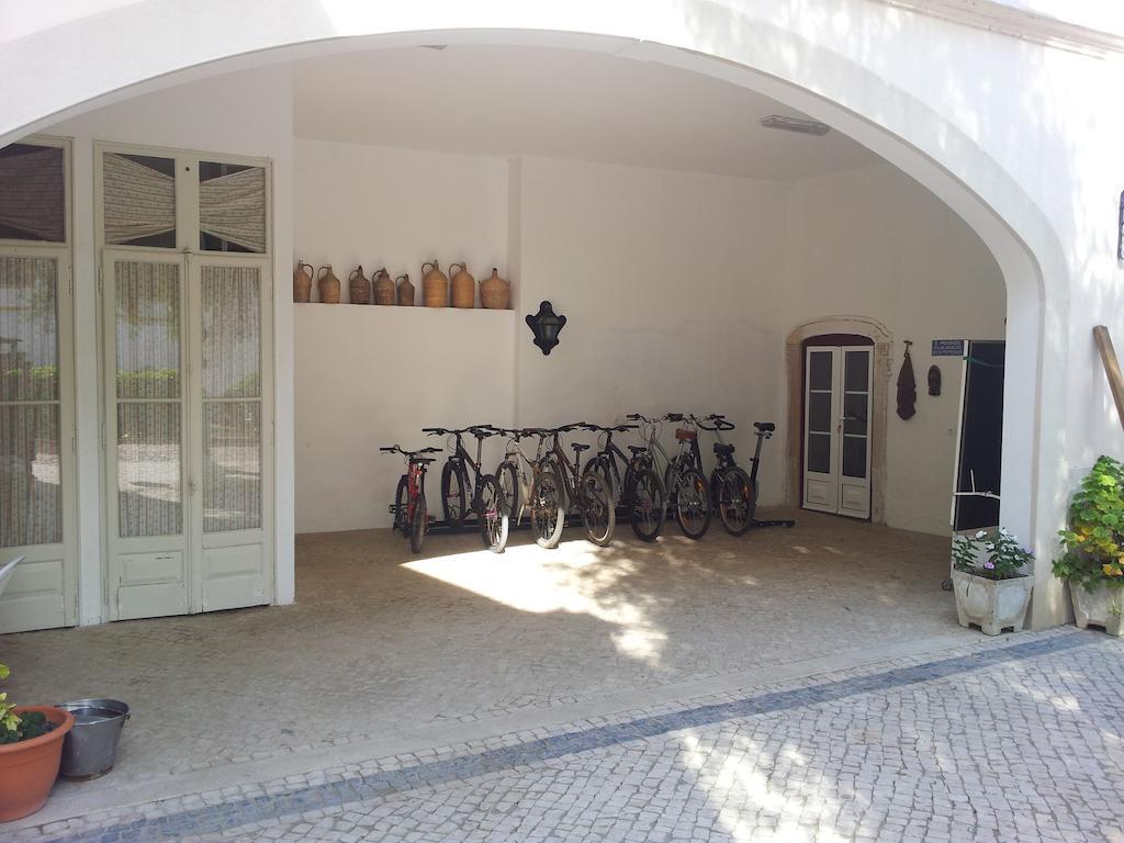 Bed and Breakfast Casa Da Tia Guida Golegã Zewnętrze zdjęcie